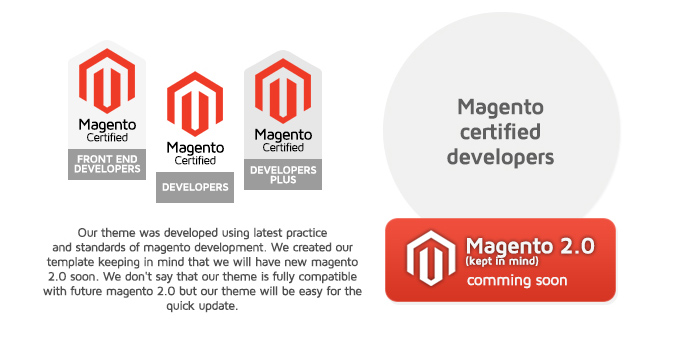 Magento certified developers picture