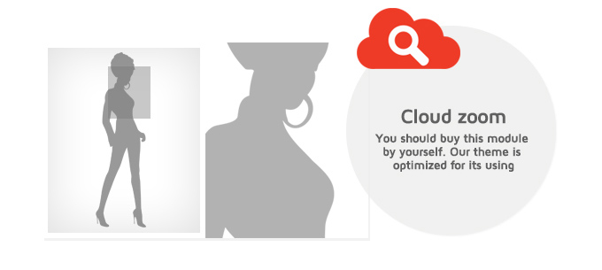 Megatron theme supports Cloud zoom option